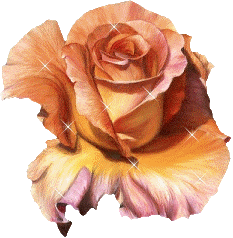 une rose scintillante